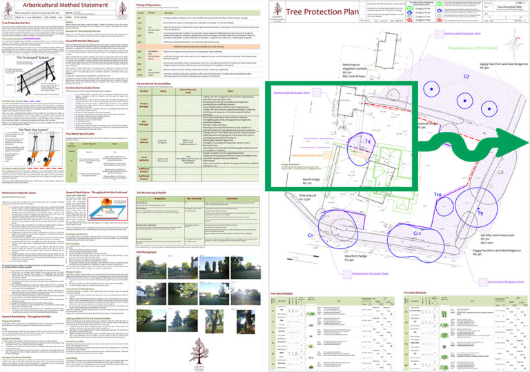 A BS5837 Arboricultural Survey at an Alpaca farm - Crown Tree Consultants