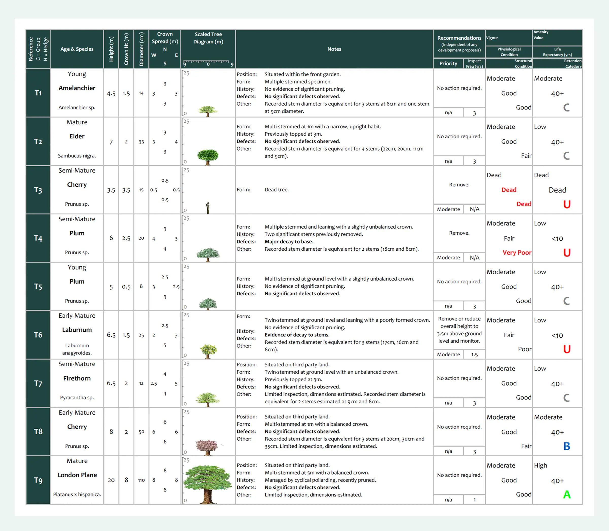 Tree data schedule BS5837 survey